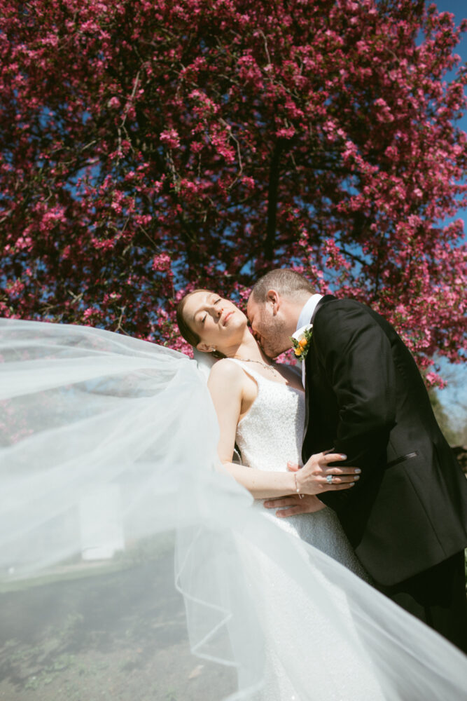 Bride and groom kissing beneath a flowering pink tree, bride's veil billowing in the breeze.