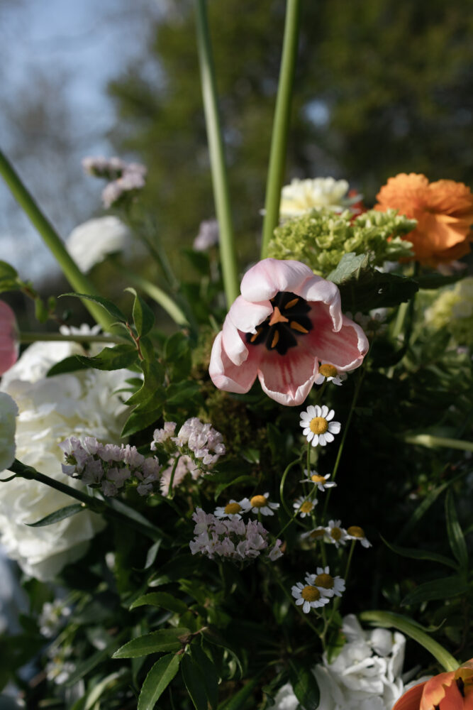Close up of a mixed bouquet with a pink petaled tulip white daisies and orange blossoms in a green leafy setting